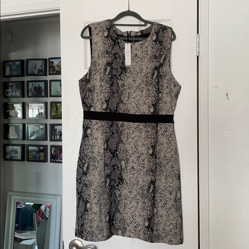 Walter Baker Snakeskin NWT dress L